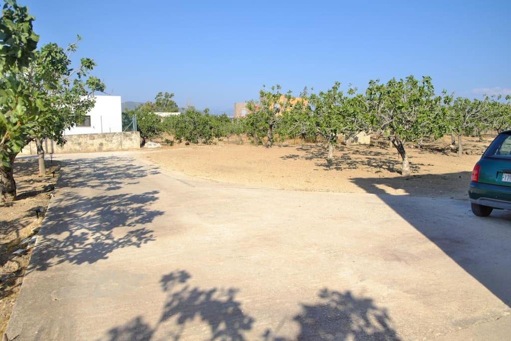 Villa Nick'S House Aegina Exterior foto